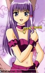 personajul preferat - botan_pink_cat - mew mew Power