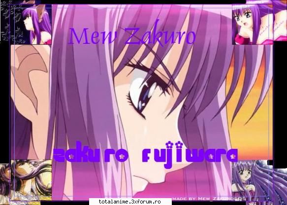 personajul preferat - sal preferata mea e renee - mew mew Power
