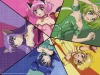 personajul preferat - toate dar renee mai mult - mew mew Power