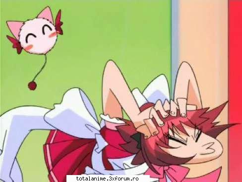 poze funny - acum pun poze funny! - mew mew Power