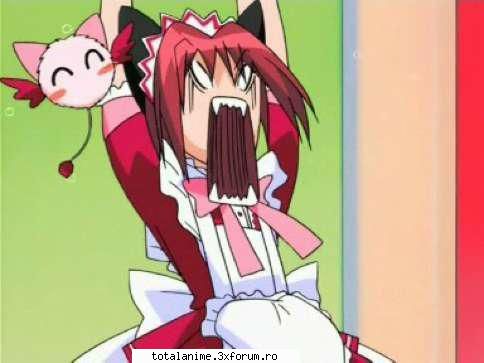 poze funny - layla_kaleido_star - mew mew Power