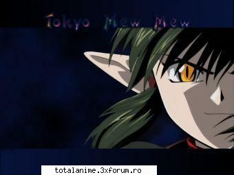 poze poze si iar poze - dren kishu - mew mew Power
